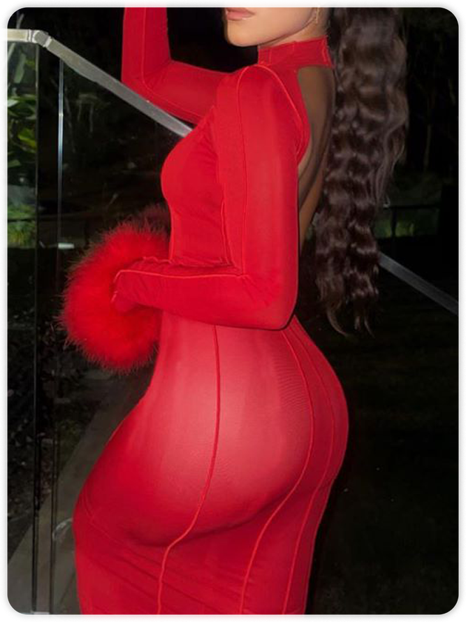 Mesh Crew Neck Plain Long Sleeve Maxi Dress