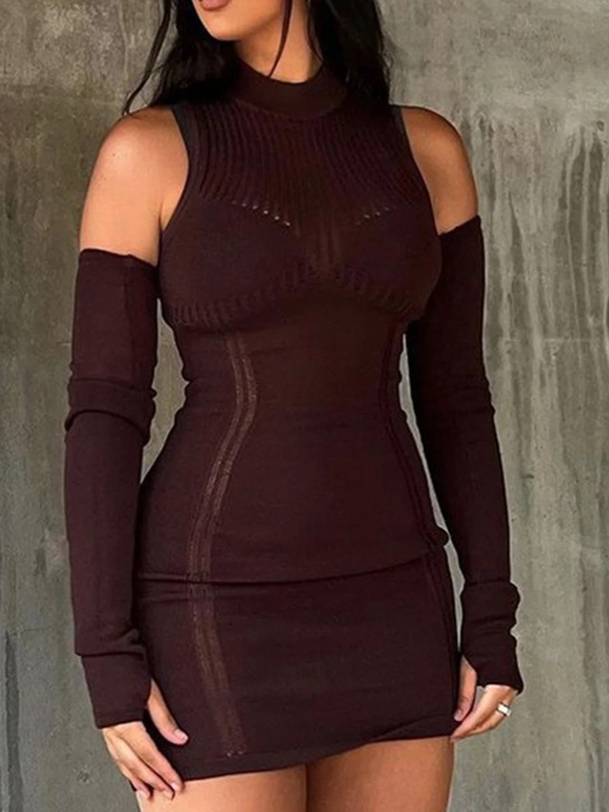 Crew Neck Plain Long Sleeve Mini Dress