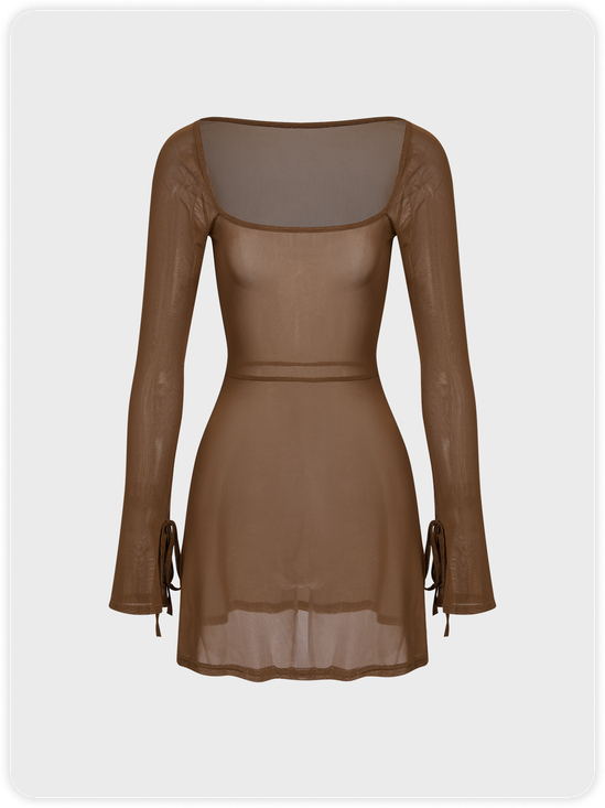 【Final Sale】Y2k Brown Mesh Dress Mini Dress
