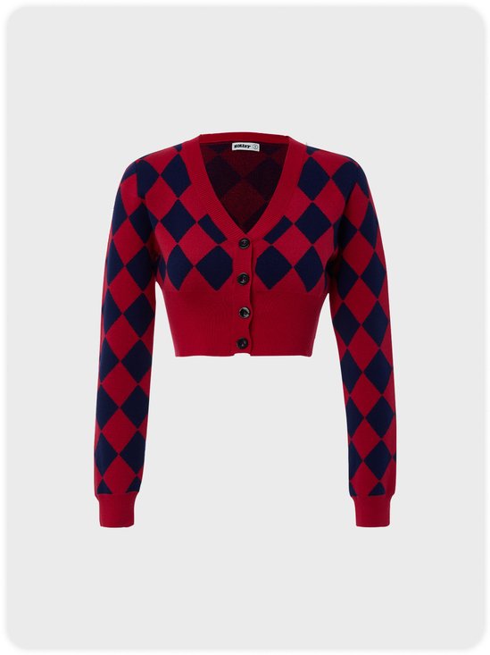 Checker Printed V Neck Sweater