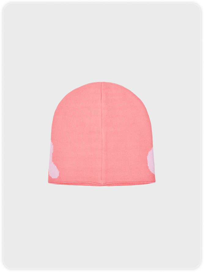 Beanie Color Block Hat
