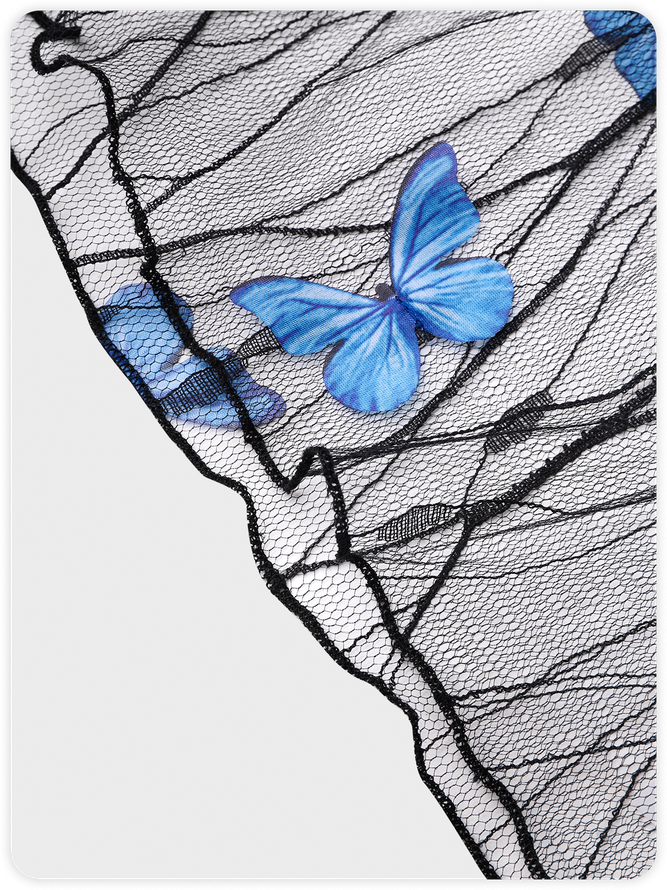 Y2K Black Mesh 3D Butterfly Two-Piece Set