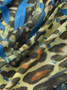 Leopard and Butterfly Print Ruffle Tie Halterneck Backless Asymmetric Hem Mini Dress